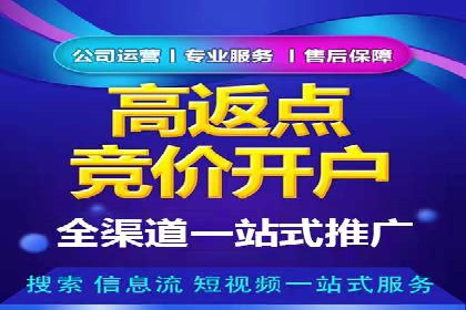百度优化推广全解析：从零到一的流量增长